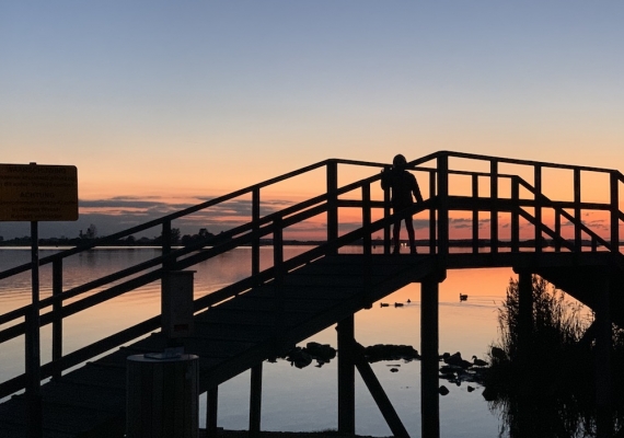 Een speciaal bruggetje op de Paardekreek. Magisch!